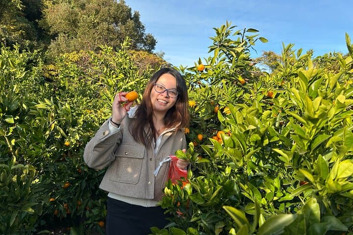 Miyakubochu Walking Foodie Adventure — photo 7