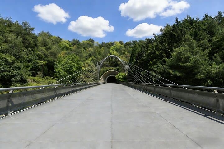 Art and Cultural Odyssey in Kansai Tour — photo 6