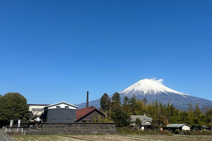 Mount Fuji Private Tour from Shimizu Port | Shore Excursion — photo 14