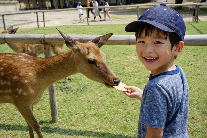 Depart from Osaka & Kyoto: Classic Nara Park&Fushimi Inari Tour — photo 7
