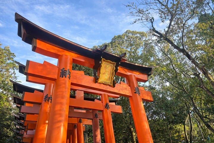 Depart from Osaka & Kyoto: Classic Nara Park&Fushimi Inari Tour — photo 13