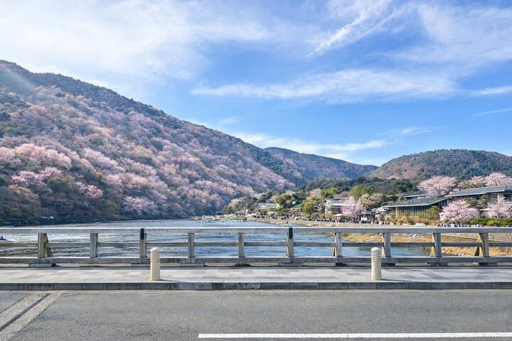 Depart from Osaka & Kyoto: Classic Nara Park&Fushimi Inari Tour — photo 9
