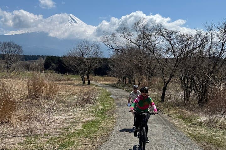 Private Full-Day Mt. Fuji Nature E-Bike Tour with Local Guide — photo 2