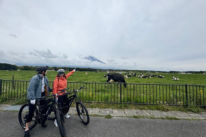 Private Full-Day Mt. Fuji Nature E-Bike Tour with Local Guide — photo 6