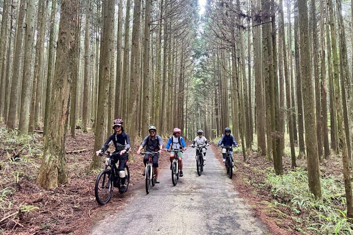 Private Full-Day Mt. Fuji Nature E-Bike Tour with Local Guide — photo 8