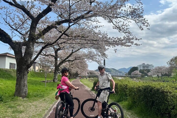 Private Full-Day Mt. Fuji Nature E-Bike Tour with Local Guide — photo 15