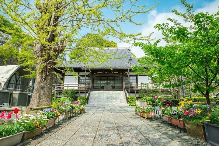 Discover Williams Adams in Hemi of Miura peninsula — photo 4