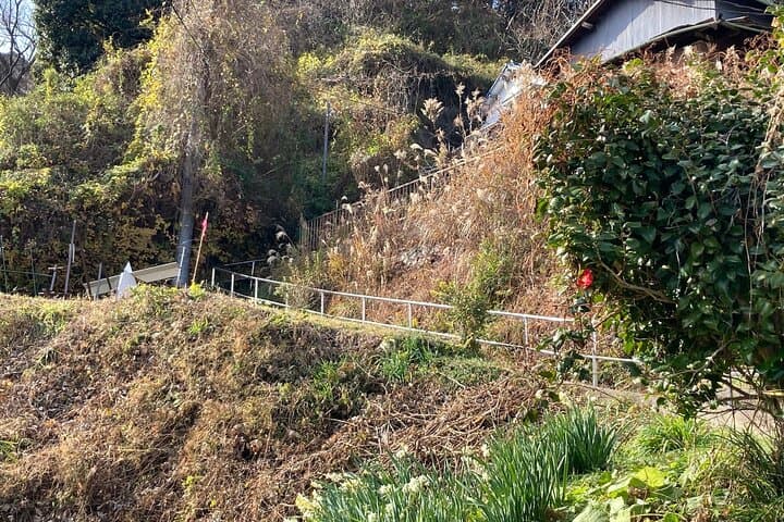 Discover Williams Adams in Hemi of Miura peninsula — photo 8