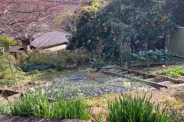 Discover Williams Adams in Hemi of Miura peninsula — photo 9