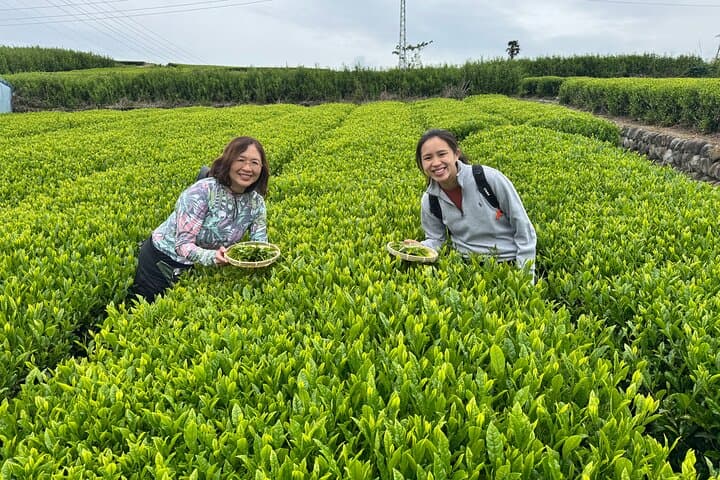 Private Full-Day Mt. Fuji Nature E-Bike Tour with Local Guide — photo 16