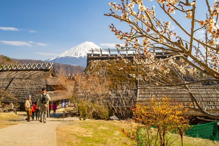 Mt. Fuji Hidden Gems & Aokigahara Forest Private Tour — photo 19