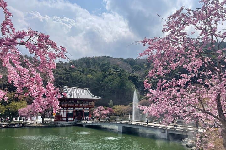 Osaka's Secret Adventures: Daruma Magic and Minoh Falls — photo 4