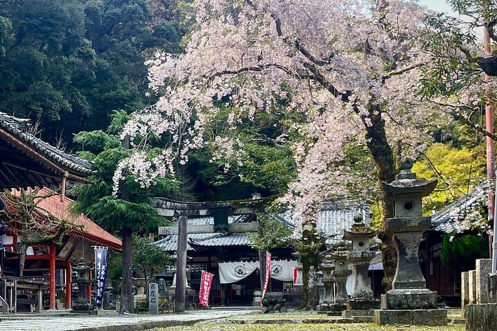 Osaka's Secret Adventures: Daruma Magic and Minoh Falls — photo 7