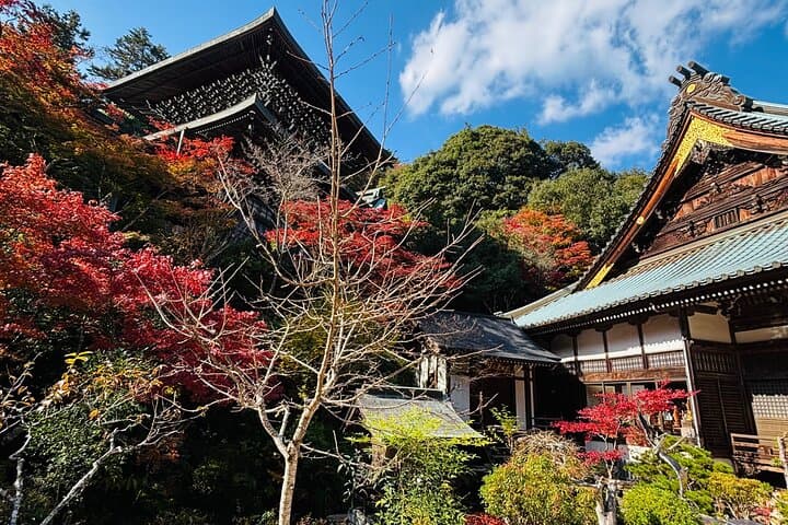 Hiroshima city tour Miyajima & Peace Memorial Park W Small Group — photo 9