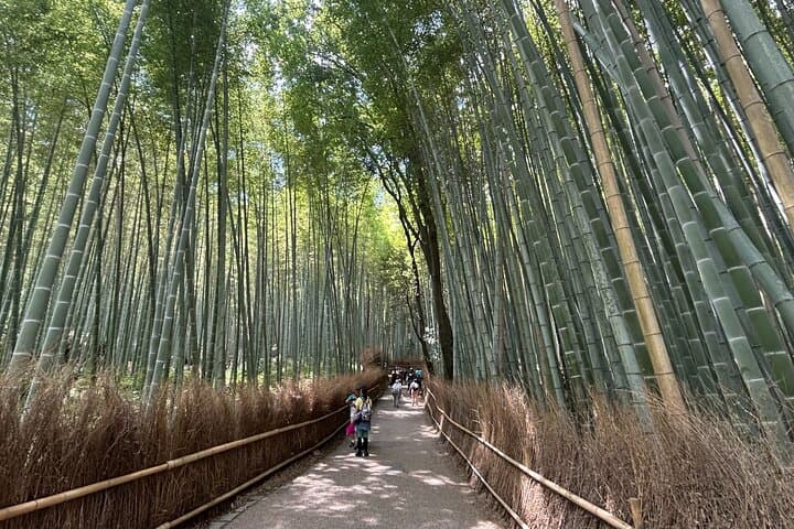 Arashiyama Morning Escape Bamboo Grove and Zen Temple — photo 1
