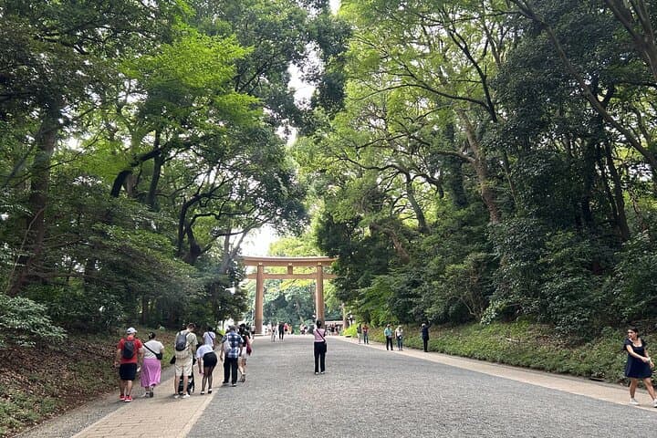 Tokyo Shibuya Harajuku Meiji Shrine Walking Tour — photo 1