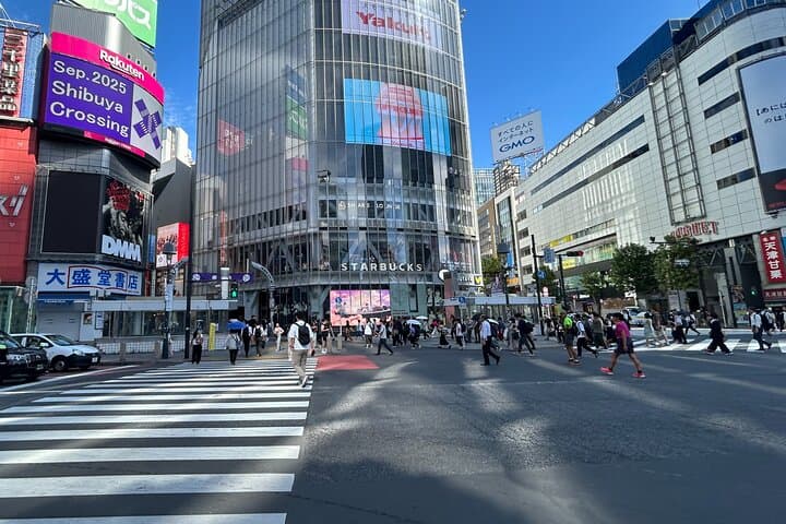 Tokyo Shibuya Harajuku Meiji Shrine Walking Tour — photo 3