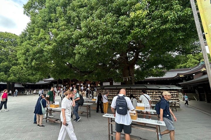 Tokyo Shibuya Harajuku Meiji Shrine Walking Tour — photo 6