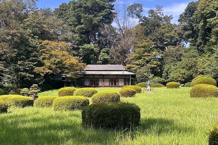 Tokyo Shibuya Harajuku Meiji Shrine Walking Tour — photo 10