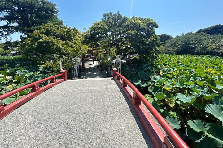Kamakura and Enoshima Shared Walking Tour — photo 6