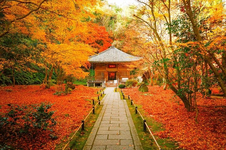 Matsushima: Scenic Bay Walk & Historic Temple Discovery — photo 4