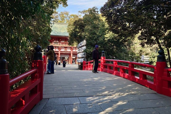 Cherry Blossoms and Strawberry Picking Tour from Tokyo Kawagoe — photo 9