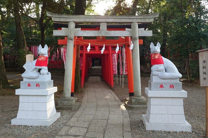 Cherry Blossoms and Strawberry Picking Tour from Tokyo Kawagoe — photo 10