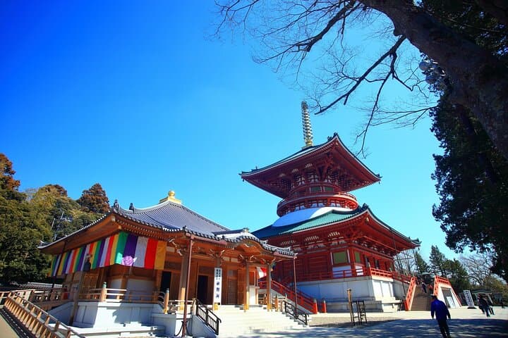 Narita: Shinshoji Temple Highlights Walk & Peace Pagoda — photo 11