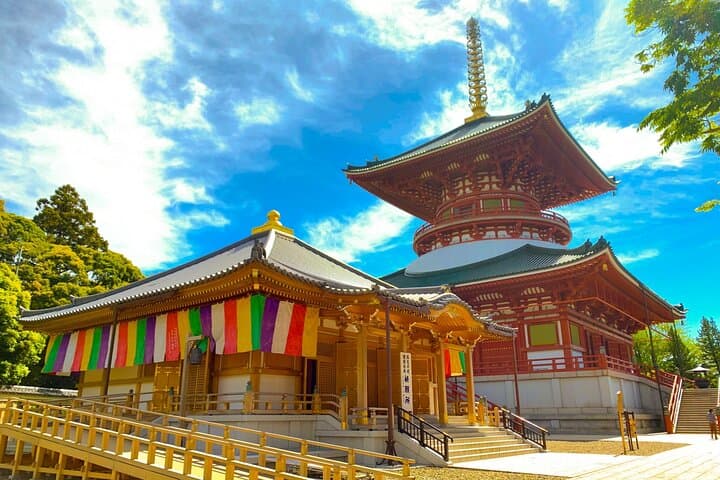 Narita: Shinshoji Temple Highlights Walk & Peace Pagoda — photo 2