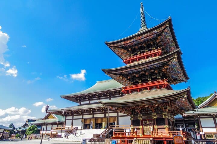 Narita: Shinshoji Temple Highlights Walk & Peace Pagoda — photo 5