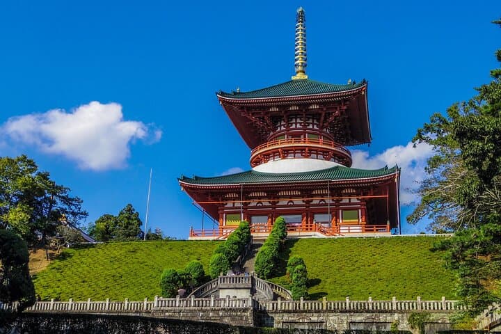Narita: Shinshoji Temple Highlights Walk & Peace Pagoda