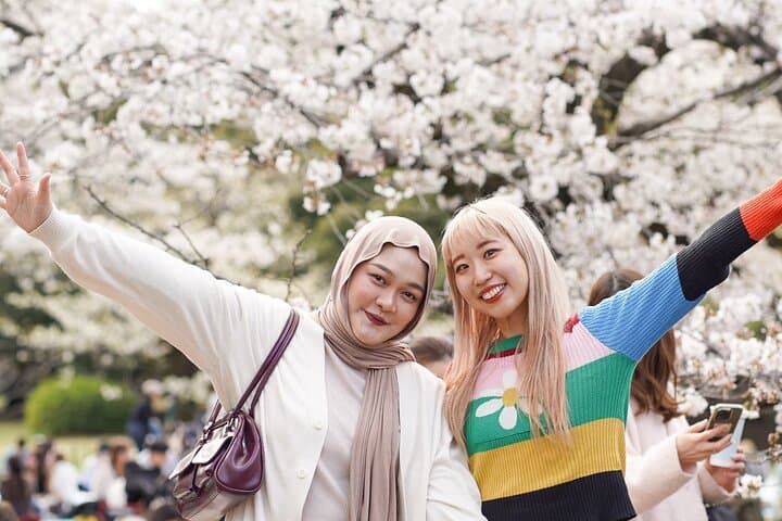 Tokyo Cherry Blossom Matcha Experience in Yoyogi Park (Shibuya) — photo 9
