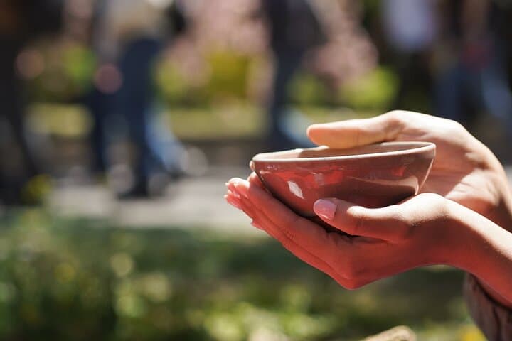 Tokyo Cherry Blossom Matcha Experience in Yoyogi Park (Shibuya) — photo 19