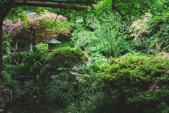 English Haiku Experience at Koshin an and Isso an — photo 5