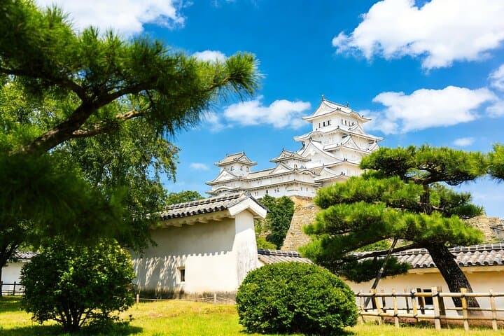 Japan Sea Journey with Anime, Art and Heritage — photo 12