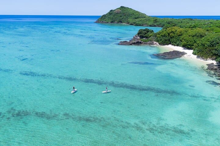 Ishigaki Mangrove and Sea SUP or Kayak with Drone and SLR Footage — photo 5