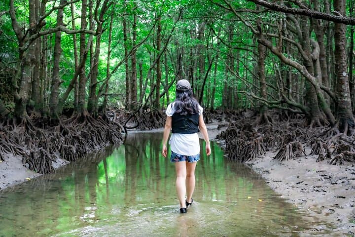 Ishigaki Mangrove and Sea SUP or Kayak with Drone and SLR Footage — photo 10