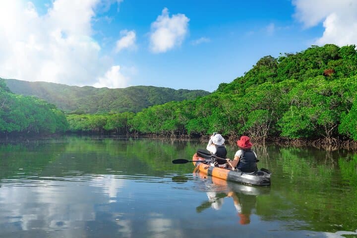 Ishigaki Mangrove and Sea SUP or Kayak with Drone and SLR Footage — photo 14