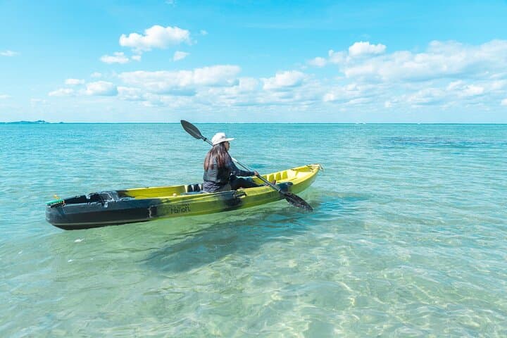 Ishigaki Mangrove and Sea SUP or Kayak with Drone and SLR Footage — photo 13