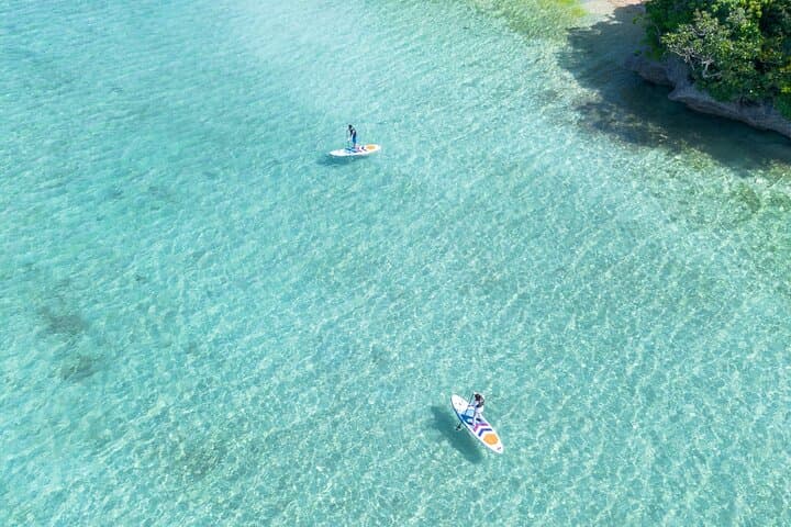 Ishigaki Mangrove and Sea SUP or Kayak with Drone and SLR Footage — photo 15