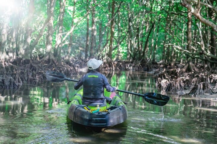 Ishigaki Mangrove and Sea SUP or Kayak with Drone and SLR Footage — photo 19