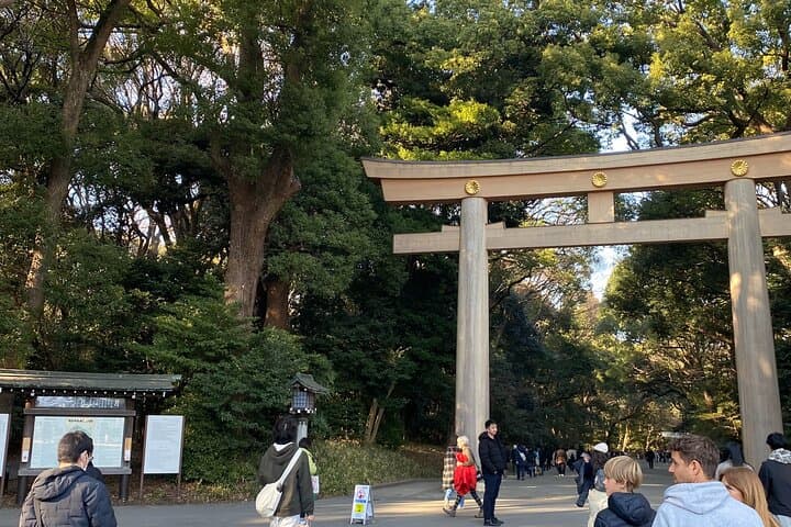 Pray Like a Local at Meiji Shrine – Guided Tour with Sake Barrels — photo 5