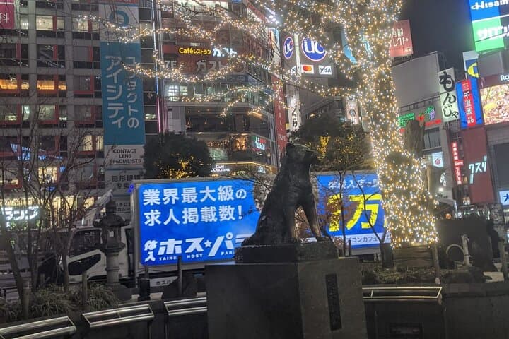 Shibuya: Pachinko Gaming Experience — photo 14