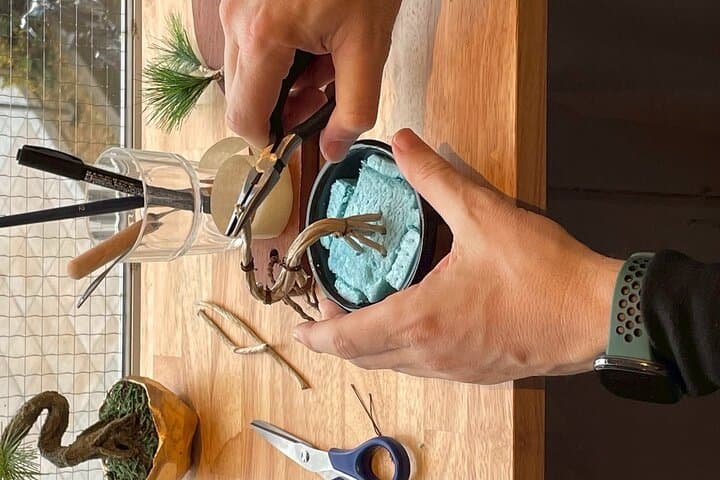Exclusive Kanazawa Craft Bonsai Experience with Black Tile Pot — photo 2