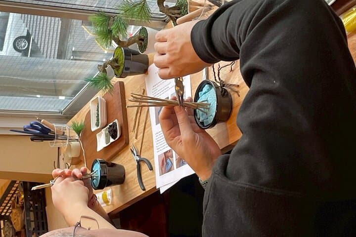 Exclusive Kanazawa Craft Bonsai Experience with Black Tile Pot — photo 4