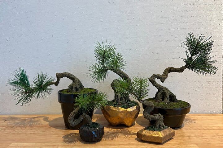 Exclusive Kanazawa Craft Bonsai Experience with Black Tile Pot — photo 9