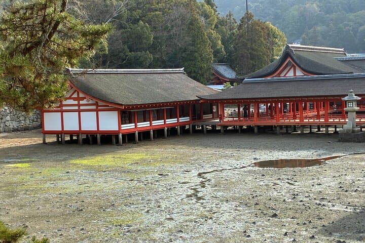 Miyajima Silent Walk – A Boundary-Crossing Experience — photo 3
