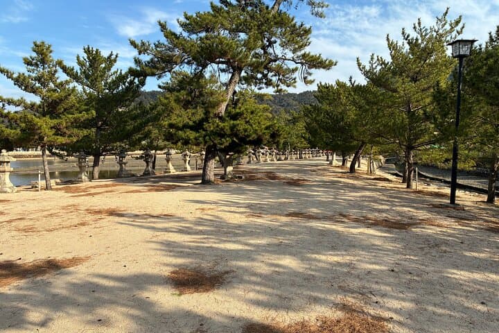 Miyajima Silent Walk – A Boundary-Crossing Experience — photo 7