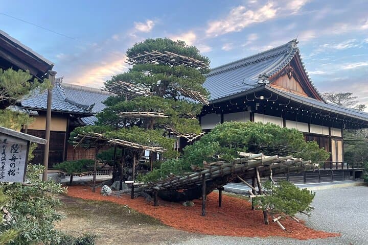 Kyoto Heritage Sites Shared Van Tour — photo 2