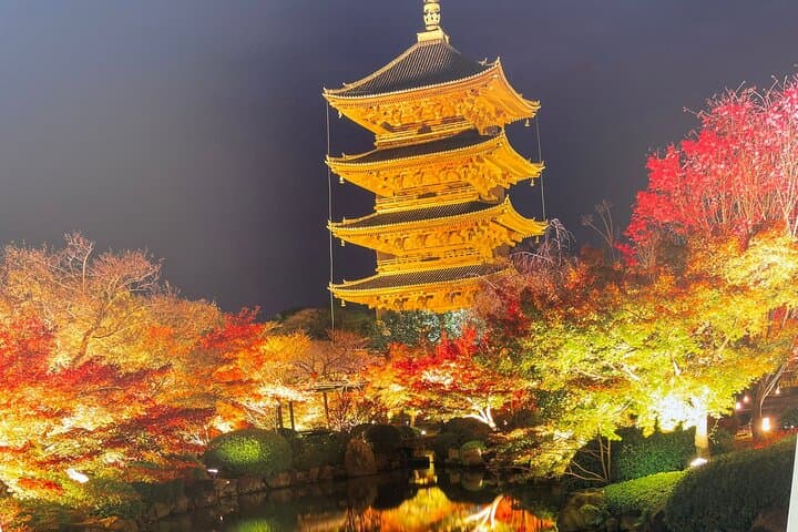 Kyoto Heritage Sites Shared Van Tour — photo 4
